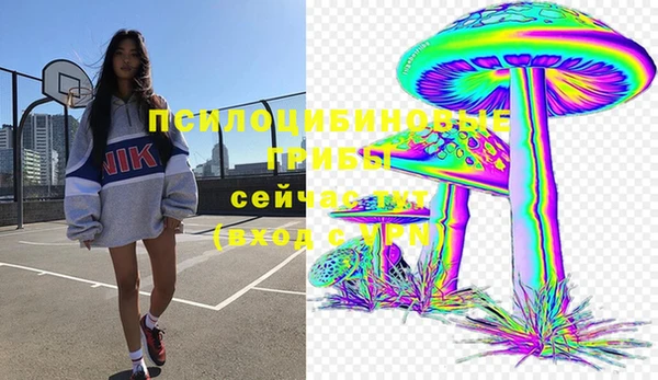 соль курить ск Алексеевка