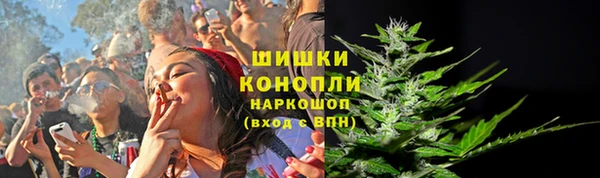 индика Заводоуковск