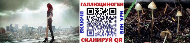 магазин    Саров  Псилоцибиновые грибы ЛСД 